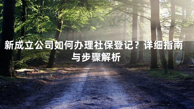 新成立公司如何办理社保登记？详细指南与步骤解析