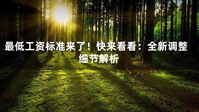 最低工资标准来了！快来看看：全新调整细节解析