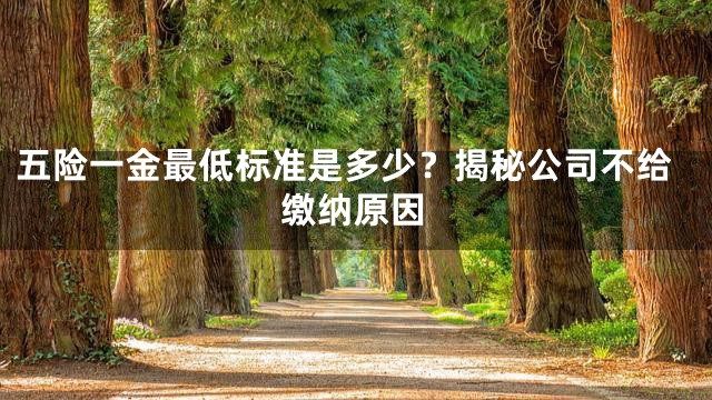 五险一金最低标准是多少？揭秘公司不给缴纳原因