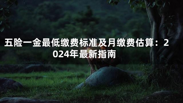 五险一金最低缴费标准及月缴费估算：2024年最新指南