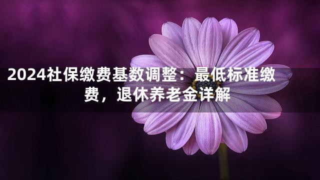 2024社保缴费基数调整：最低标准缴费，退休养老金详解