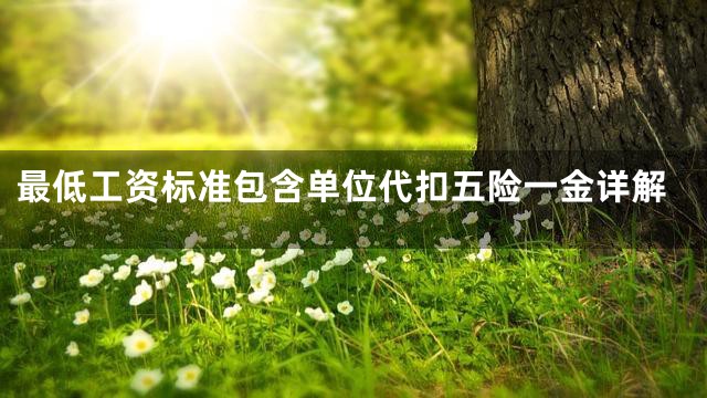 最低工资标准包含单位代扣五险一金详解