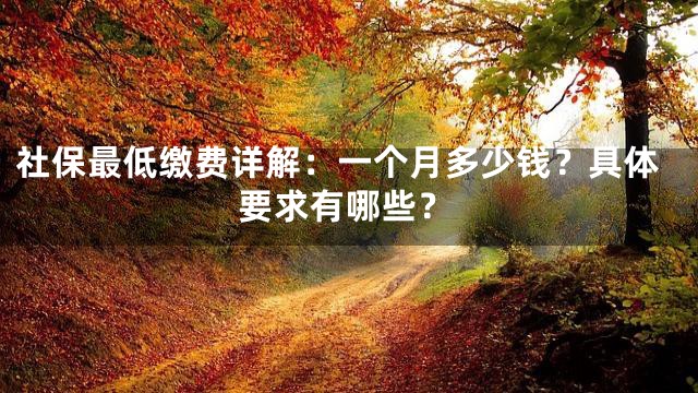 社保最低缴费详解：一个月多少钱？具体要求有哪些？