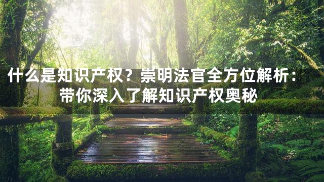 什么是知识产权？崇明法官全方位解析：带你深入了解知识产权奥秘