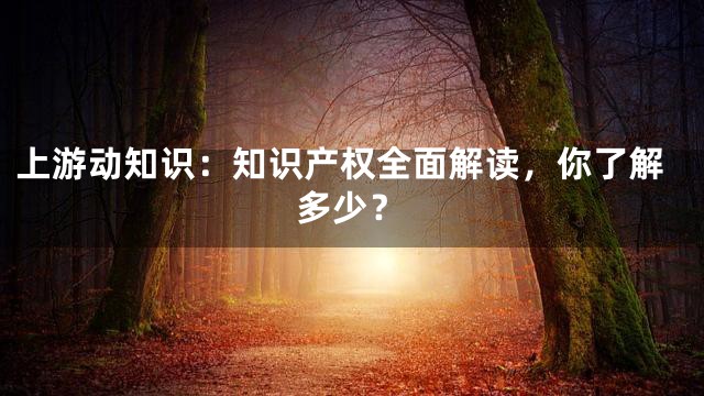 上游动知识：知识产权全面解读，你了解多少？