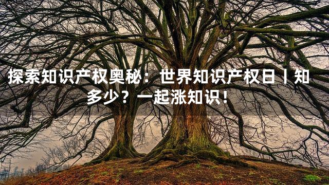 探索知识产权奥秘：世界知识产权日丨知多少？一起涨知识！