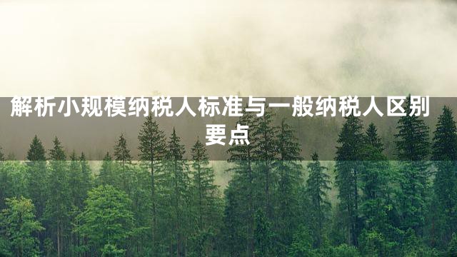 解析小规模纳税人标准与一般纳税人区别要点