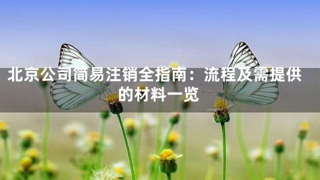 北京公司简易注销全指南：流程及需提供的材料一览
