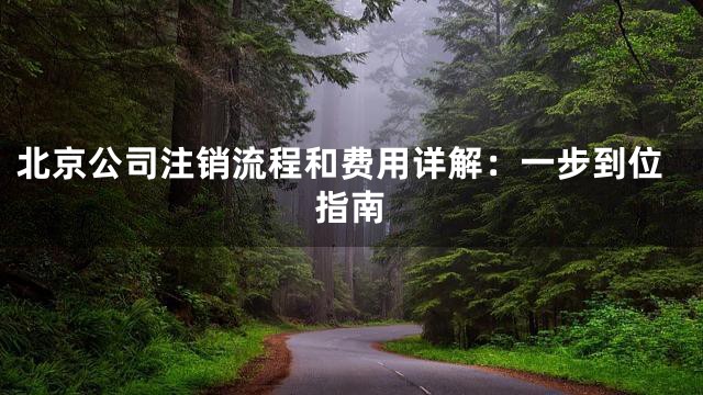北京公司注销流程和费用详解：一步到位指南
