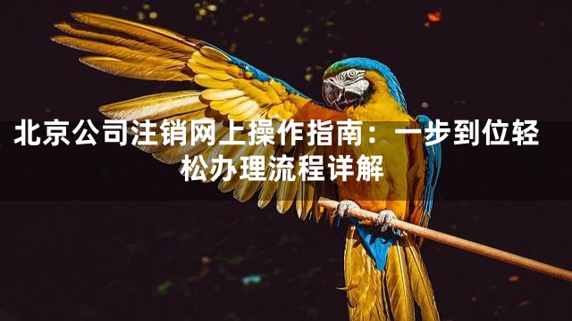 北京公司注销网上操作指南：一步到位轻松办理流程详解
