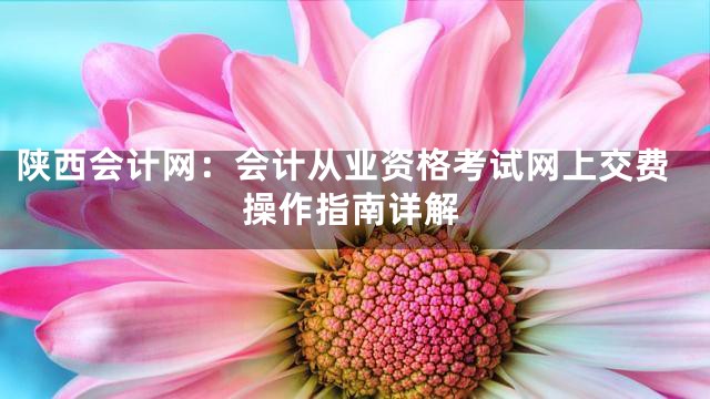 陕西会计网：会计从业资格考试网上交费操作指南详解
