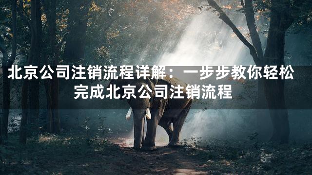 北京公司注销流程详解：一步步教你轻松完成北京公司注销流程