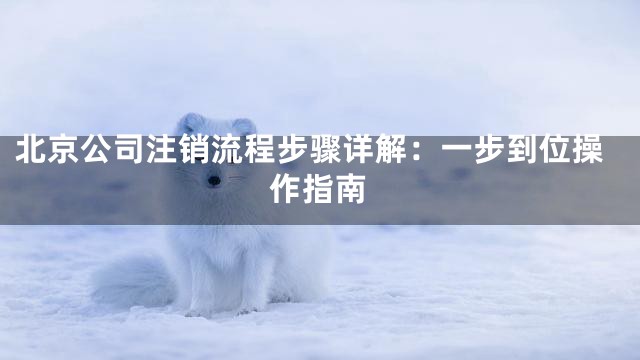 北京公司注销流程步骤详解：一步到位操作指南