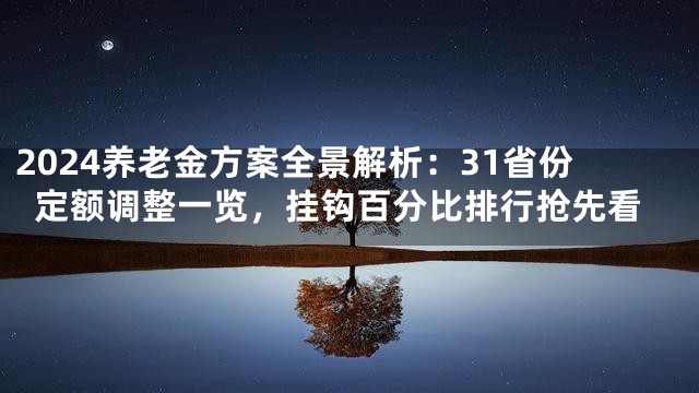 2024养老金方案全景解析：31省份定额调整一览，挂钩百分比排行抢先看