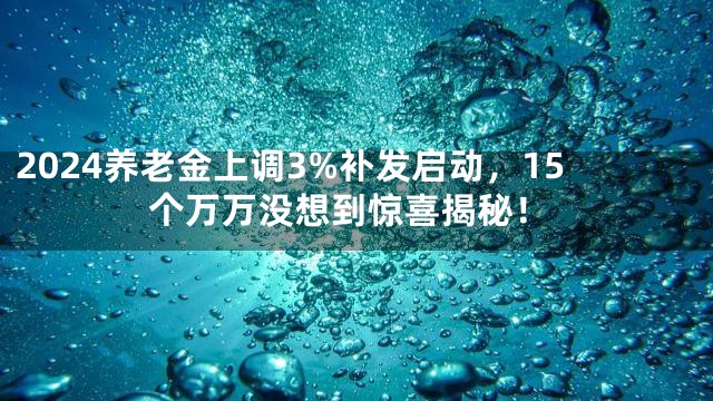 2024养老金上调3%补发启动，15个万万没想到惊喜揭秘！