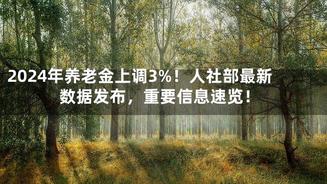 2024年养老金上调3%！人社部最新数据发布，重要信息速览！