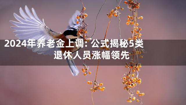 2024年养老金上调: 公式揭秘5类退休人员涨幅领先