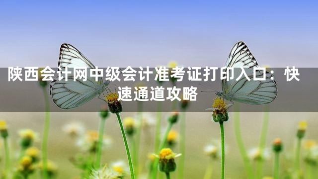 陕西会计网中级会计准考证打印入口：快速通道攻略