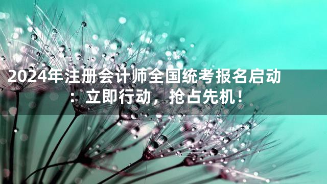 2024年注册会计师全国统考报名启动：立即行动，抢占先机！