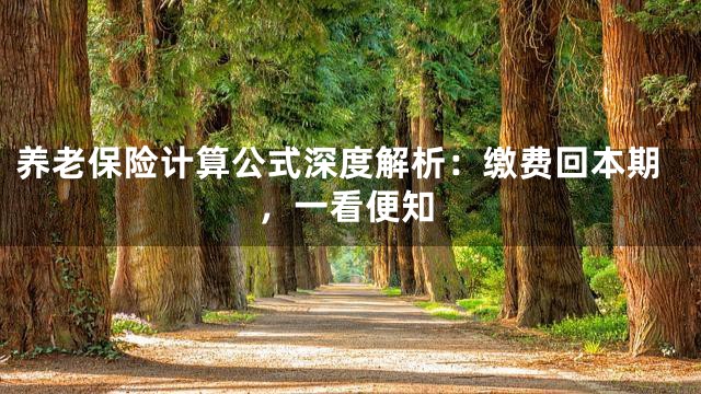 养老保险计算公式深度解析：缴费回本期，一看便知