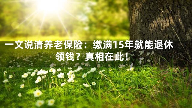 一文说清养老保险：缴满15年就能退休领钱？真相在此！