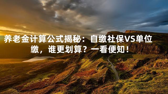 养老金计算公式揭秘：自缴社保VS单位缴，谁更划算？一看便知！