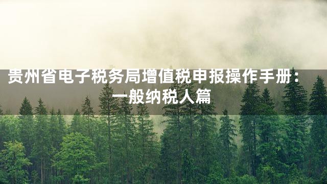 贵州省电子税务局增值税申报操作手册：一般纳税人篇