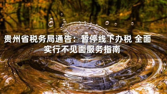 贵州省税务局通告：暂停线下办税 全面实行不见面服务指南