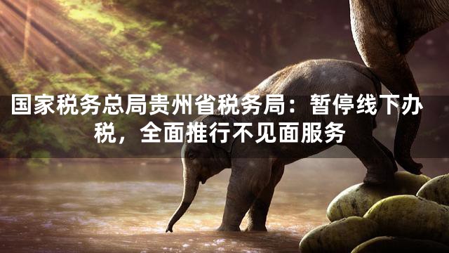 国家税务总局贵州省税务局：暂停线下办税，全面推行不见面服务