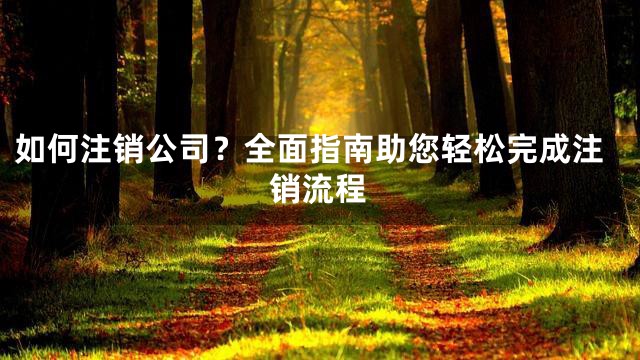 如何注销公司？全面指南助您轻松完成注销流程
