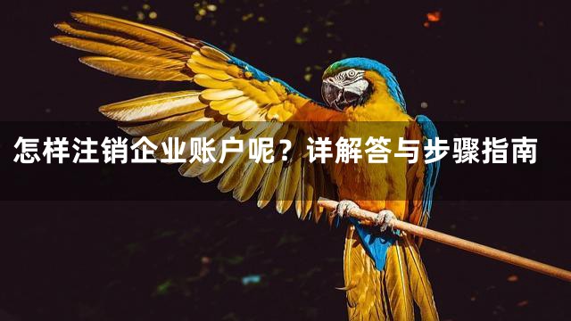 怎样注销企业账户呢？详解答与步骤指南