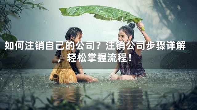 如何注销自己的公司？注销公司步骤详解，轻松掌握流程！