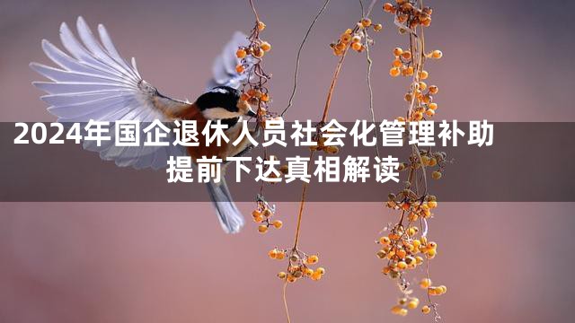 2024年国企退休人员社会化管理补助提前下达真相解读