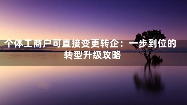 个体工商户可直接变更转企：一步到位的转型升级攻略