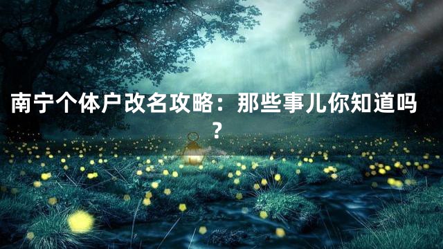 南宁个体户改名攻略：那些事儿你知道吗？