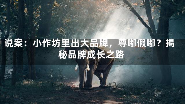 说案：小作坊里出大品牌，尊嘟假嘟？揭秘品牌成长之路