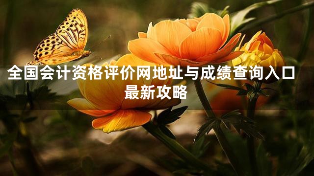 全国会计资格评价网地址与成绩查询入口最新攻略