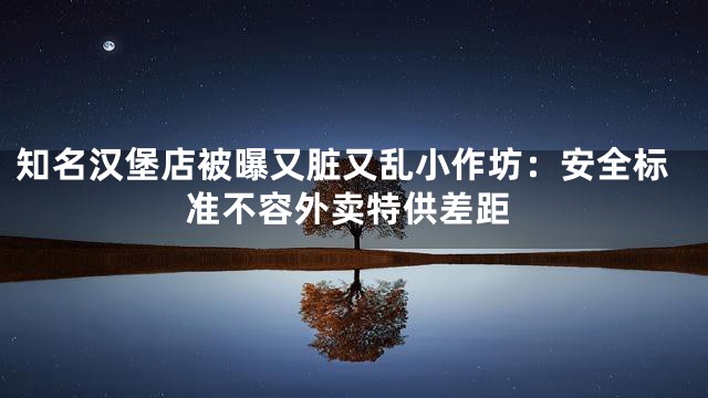 知名汉堡店被曝又脏又乱小作坊：安全标准不容外卖特供差距
