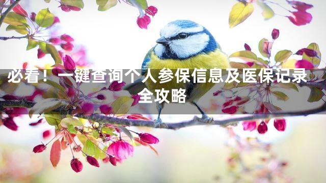 必看！一键查询个人参保信息及医保记录全攻略