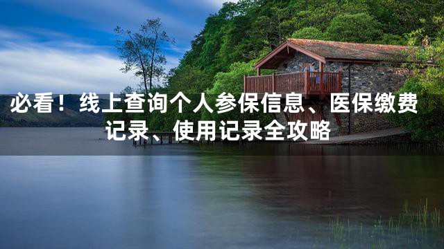 必看！线上查询个人参保信息、医保缴费记录、使用记录全攻略