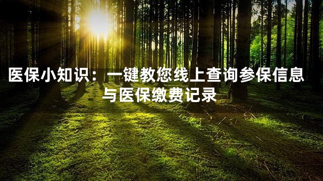 医保小知识：一键教您线上查询参保信息与医保缴费记录