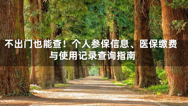 不出门也能查！个人参保信息、医保缴费与使用记录查询指南