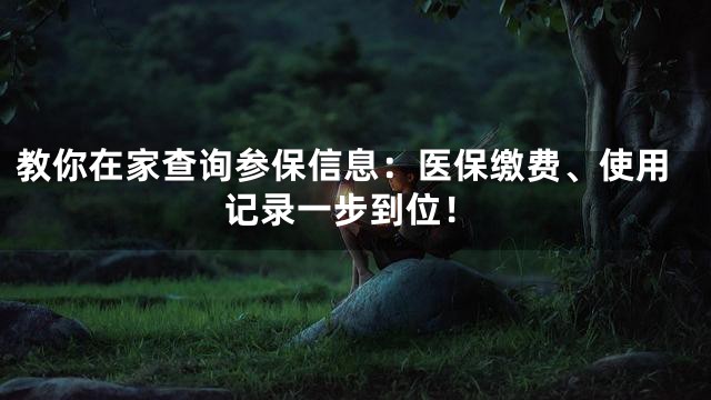 教你在家查询参保信息：医保缴费、使用记录一步到位！