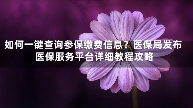 如何一键查询参保缴费信息？医保局发布医保服务平台详细教程攻略