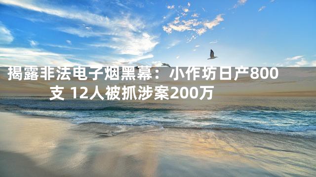 揭露非法电子烟黑幕：小作坊日产800支 12人被抓涉案200万
