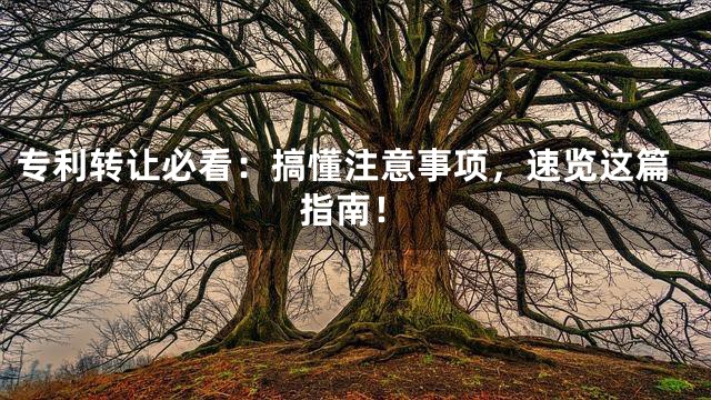 专利转让必看：搞懂注意事项，速览这篇指南！