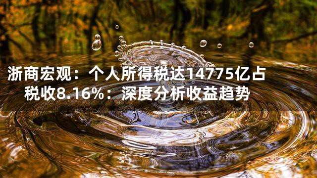 浙商宏观：个人所得税达14775亿占税收8.16%：深度分析收益趋势