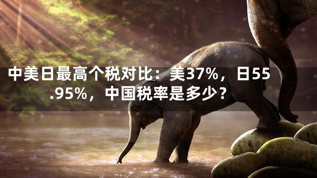 中美日最高个税对比：美37%，日55.95%，中国税率是多少？