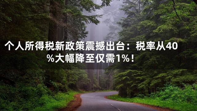 个人所得税新政策震撼出台：税率从40%大幅降至仅需1%！