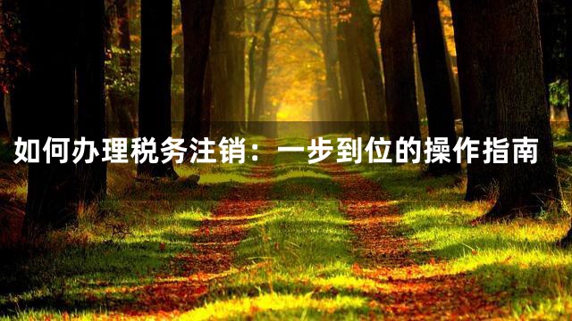 如何办理税务注销：一步到位的操作指南